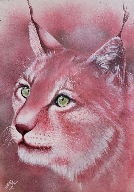 L'observateur curieux